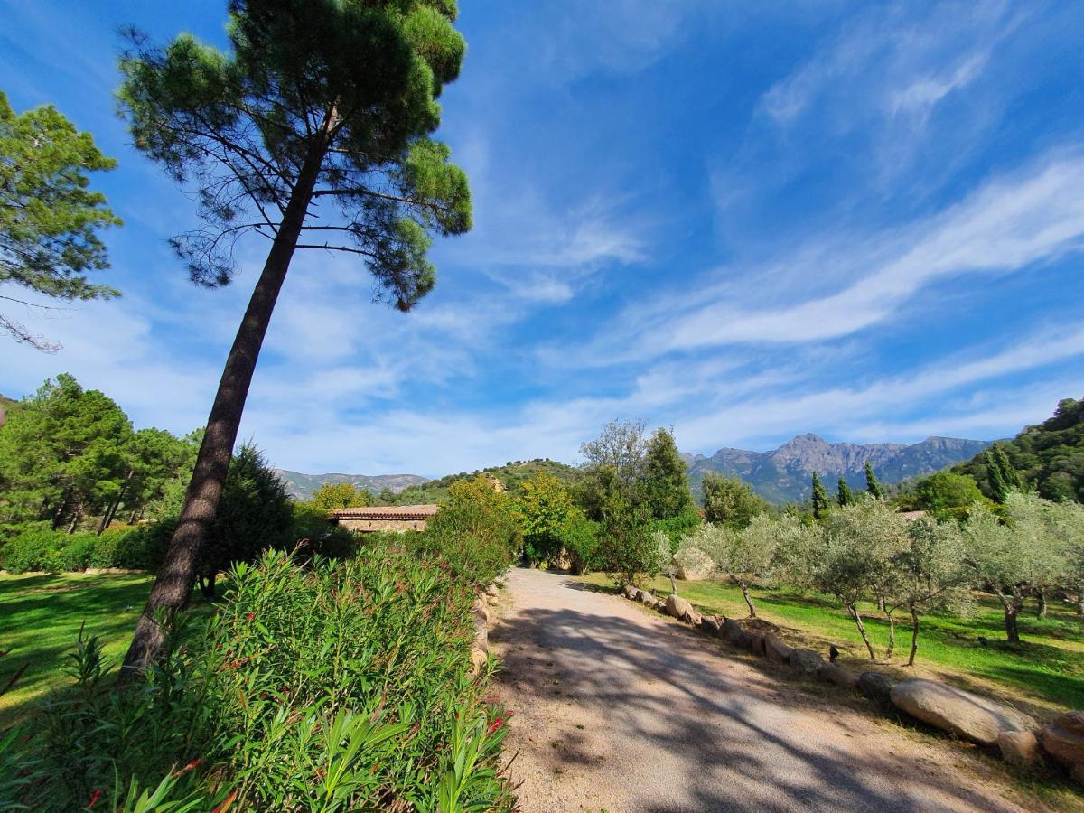Domaine Codaleone Serriera  Exterior foto