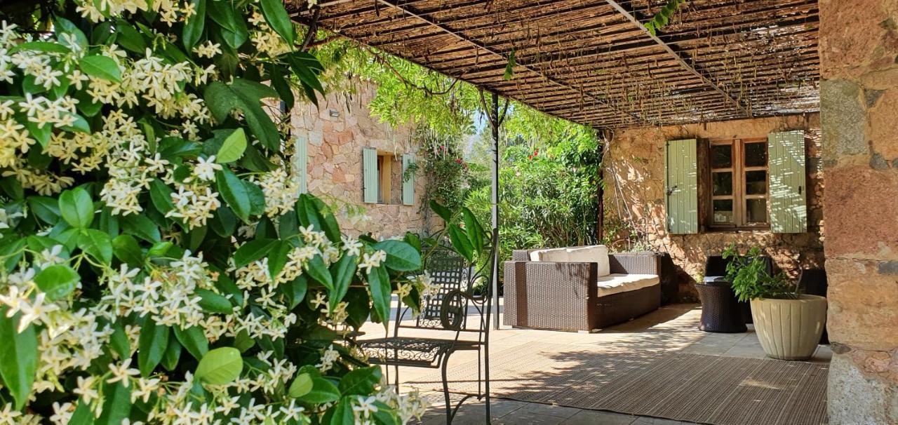Domaine Codaleone Serriera  Exterior foto