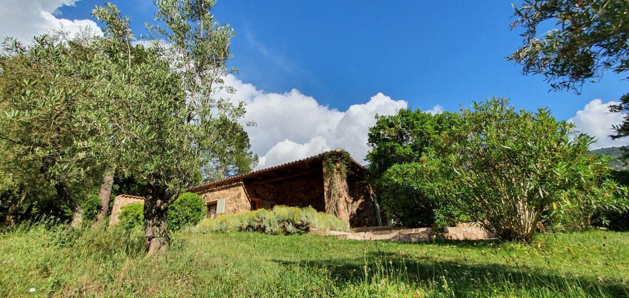 Domaine Codaleone Serriera  Exterior foto