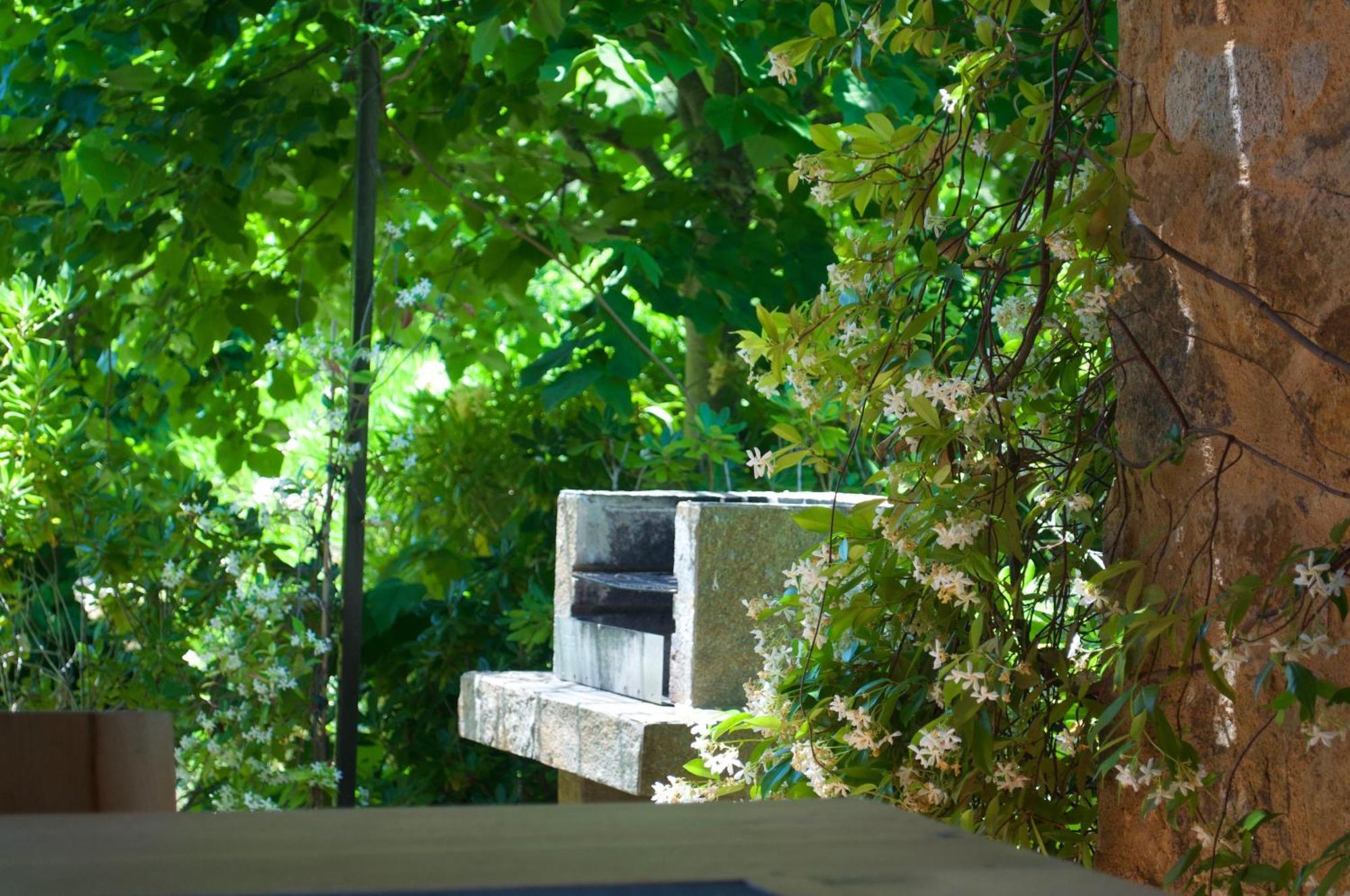 Domaine Codaleone Serriera  Zimmer foto