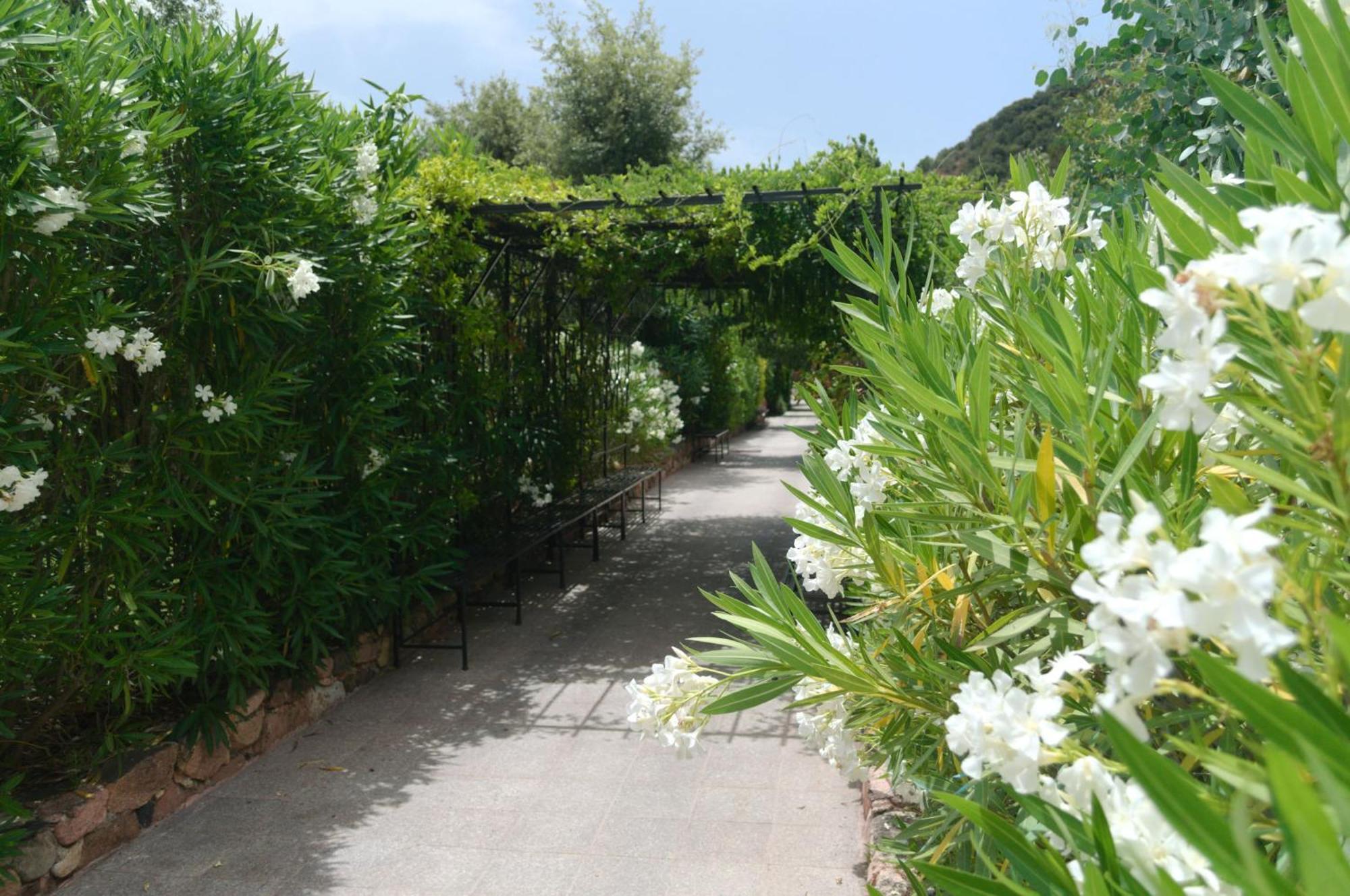Domaine Codaleone Serriera  Zimmer foto
